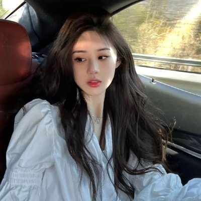 科搜研之女 第20季