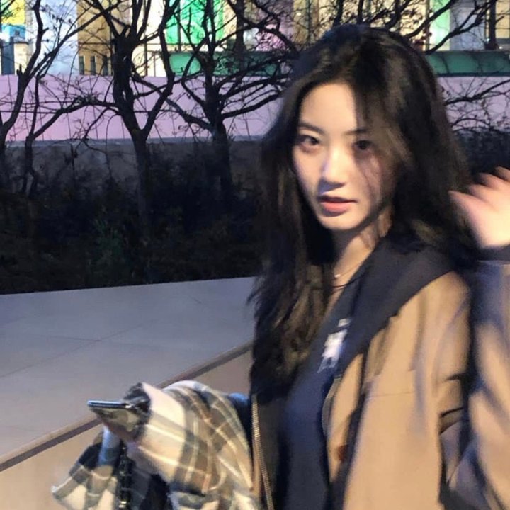 探索发现秘境追踪第五季