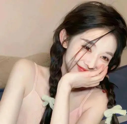 飞兔大联盟国语